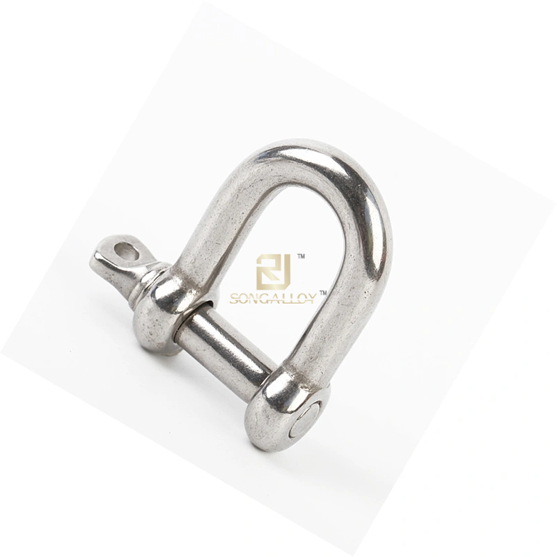 Stainless Steel 316 D Shackle